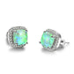 Luxury Female Crystal Zircon Stone Earrings Fashion Silver Color